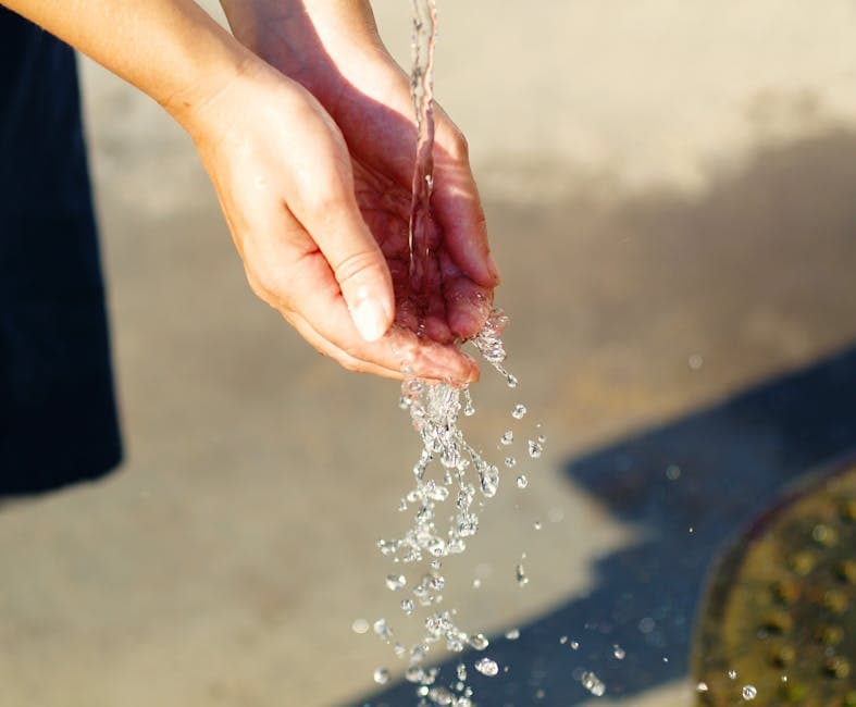 Clean Water Action Staff in Ann Arbor, East Lansing Launch Unionization Drive