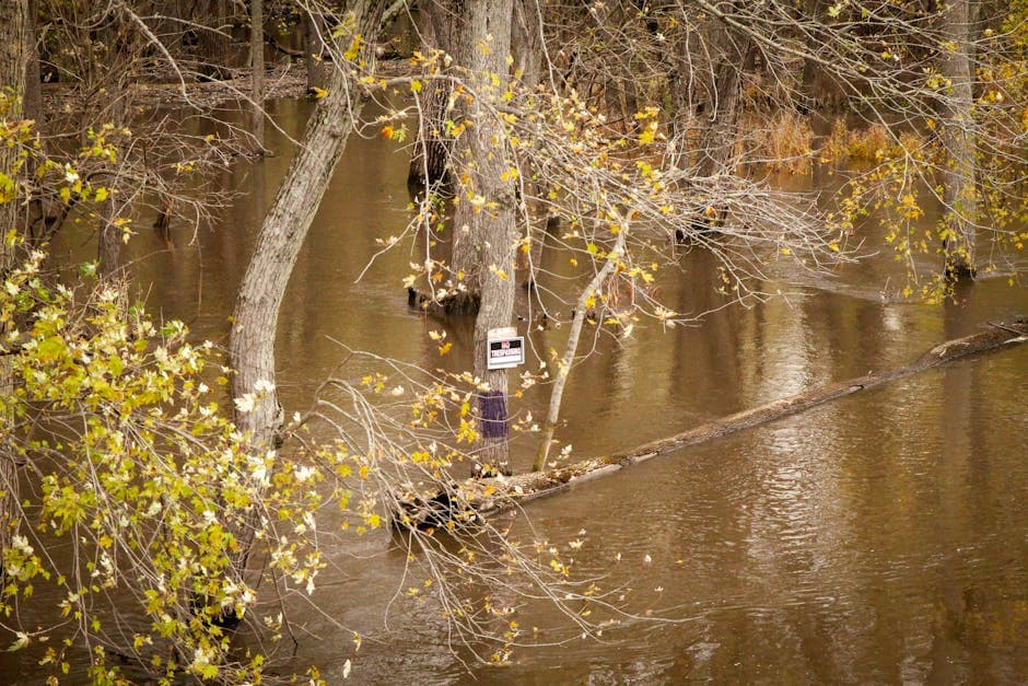 Record Flooding Hits Manistee River Near Sherman in Northern Michigan