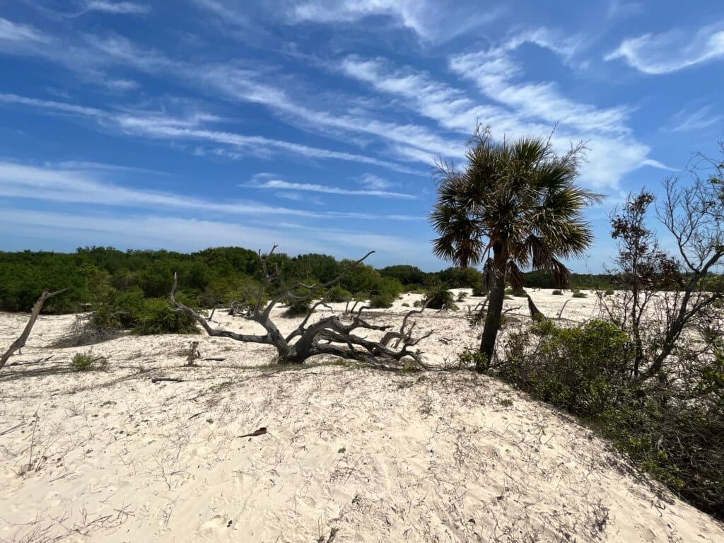 Cumberland Island Land Exchange Sparks Controversy Over Development Plans