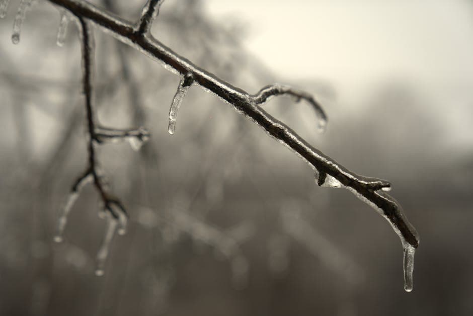 Northern Michigan Under Freeze Warnings, Frost Advisory Through Monday