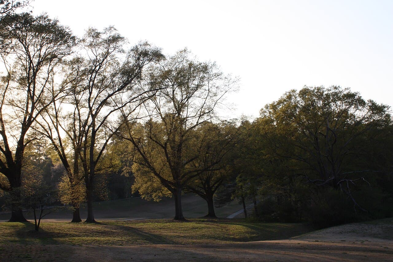 Slow-Moving Storms Bring Heavy Rain, Strong Winds to Metro Atlanta Region - Wikimedia Commons