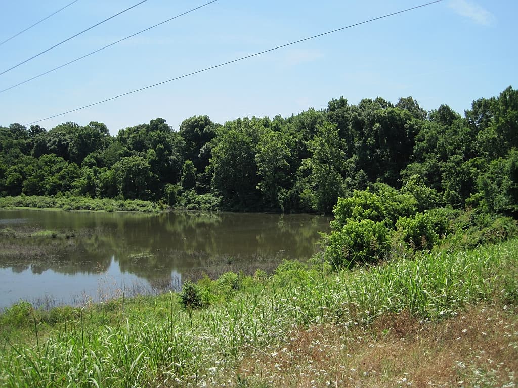 Flash Flooding Strikes Memphis Area as Severe Storms Dump Heavy Rain - Wikimedia Commons
