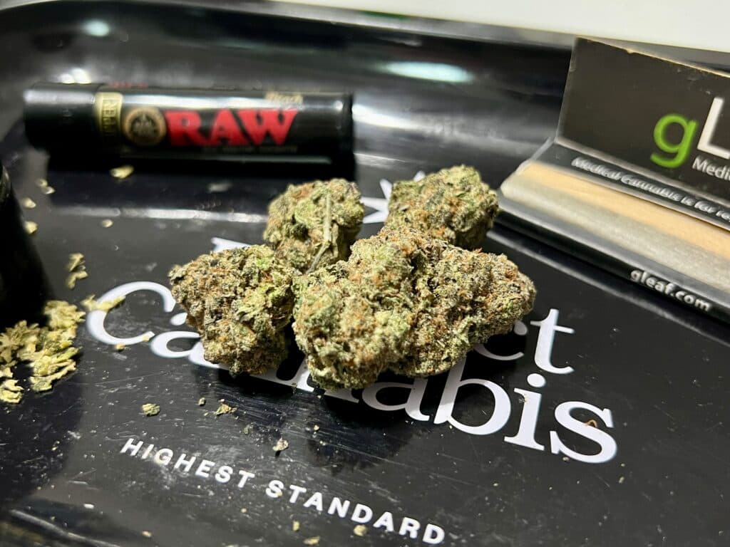 High-Potency Cannabis Products Spark State Debates Over Mental Health Risks